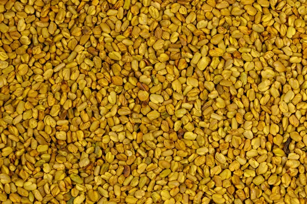 Tło nasion kozieradki — Zdjęcie stockowe