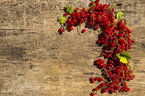 Красная смородина ягоды на деревенском деревянном фоне. Вид сверху с пространством для копирования — стоковое фото