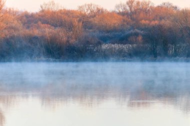 Sis huzurlu gölde. Sis sabah gölet üzerinde