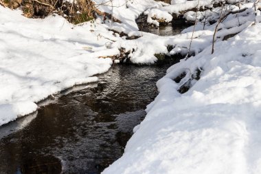 Karlı ormandaki küçük dere