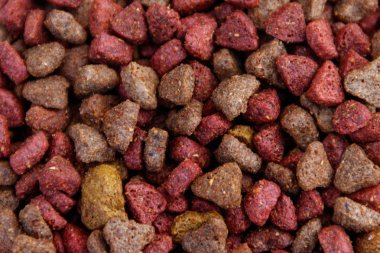 Kedi ya da köpek için yakın plan kuru yiyecek. Evcil hayvan besin geçmişi