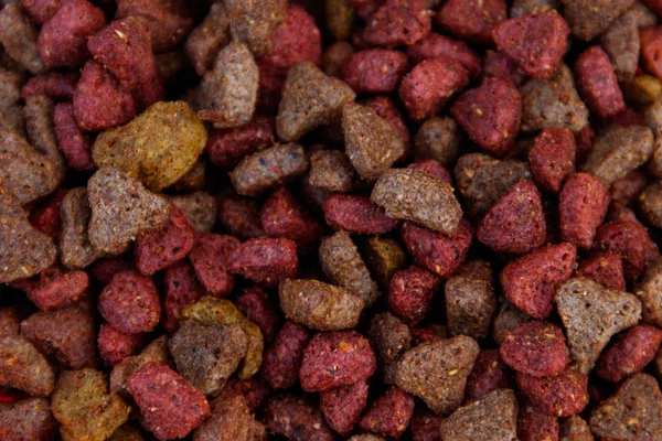 Kedi ya da köpek için yakın plan kuru yiyecek. Evcil hayvan besin geçmişi