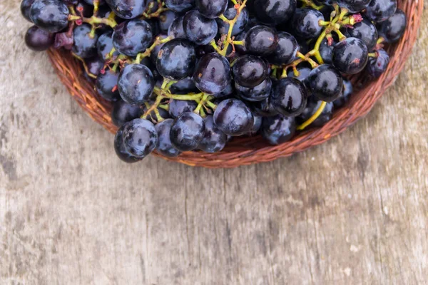 Rijpe druiven in rieten mand op houten tafel — Stockfoto