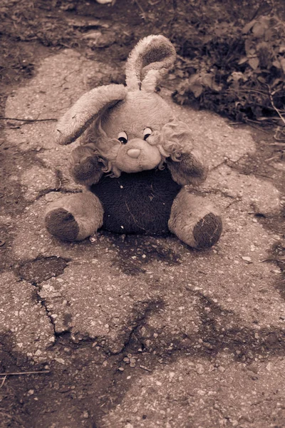 舗装の放棄されたウサギの人形。ブラック ホワイト トーン — ストック写真