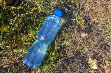 Yeşil çimenlerin üzerinde taze temiz su şişesiyle