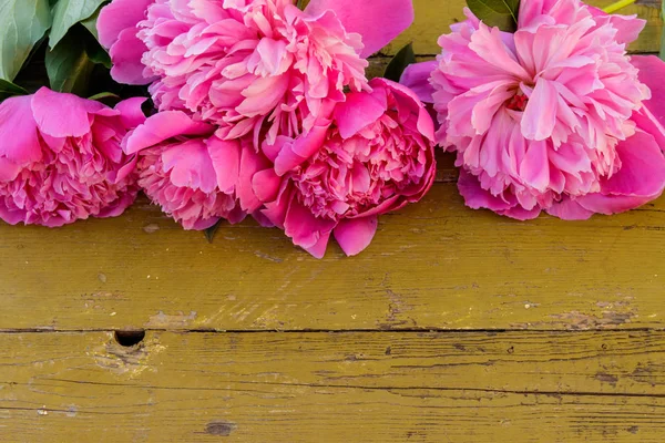 Flores de peonía rosa sobre fondo rústico de madera. Copiar espacio — Foto de Stock