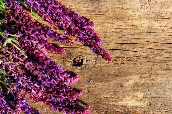 Purpurfarbene Salvia-Blüten auf rustikalem Holzgrund. Ansicht von oben, Kopierraum — Stockfoto