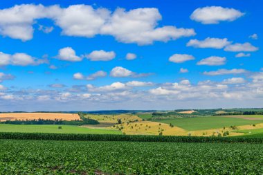 Yeşil tarlaları, tepeleri ve mavi gökyüzü olan yaz manzarası