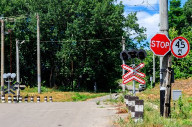 Ormanda ülke yolu üzerinde demiryolu geçişi
