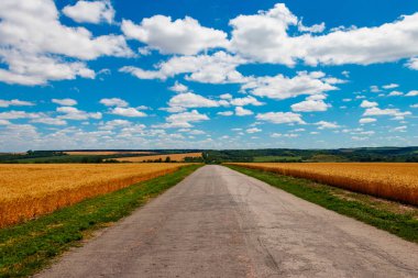 Asfalt köy yolunda altın buğday alanları ve mavi gökyüzü ile beyaz bulutlar. Yaz manzara
