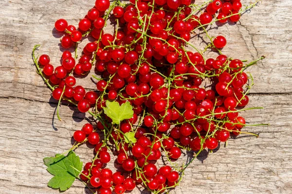 Красная смородина ягоды на деревенском деревянном фоне. Вид сверху — стоковое фото
