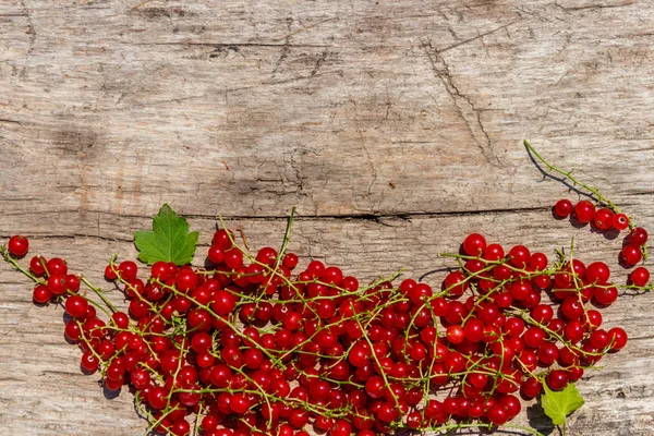 Красная смородина ягоды на деревенском деревянном фоне. Вид сверху, пространство для копирования — стоковое фото