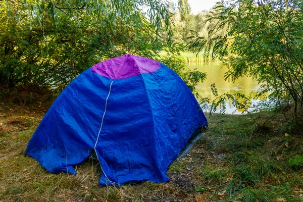 Bir nehir yakınındaki ormanda mavi kamp çadırı — Stok fotoğraf