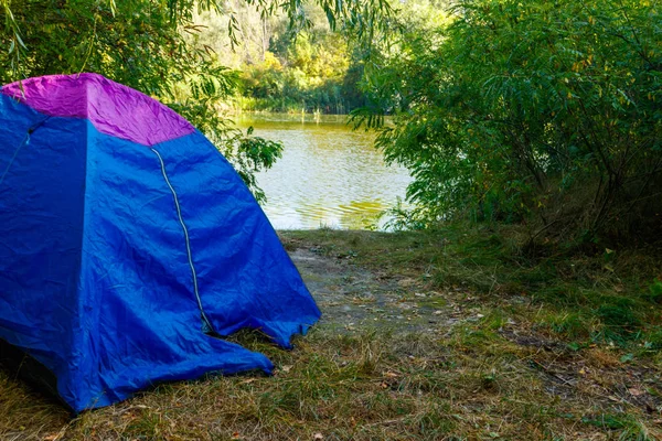 Blaues Zeltlager im Wald in der Nähe eines Flusses — Stockfoto