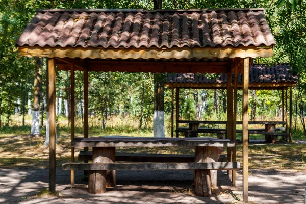 Picknickplats i parken. Träbord och bänkar i grön skog — Stockfoto