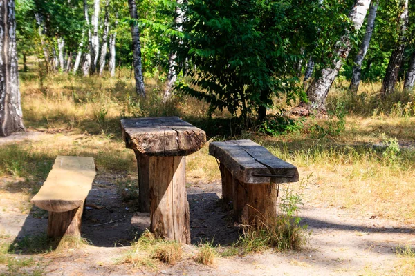 Piknik oldalon a nyírfa ligetben. Fa asztalok és padok nyírfa erdőben — Stock Fotó