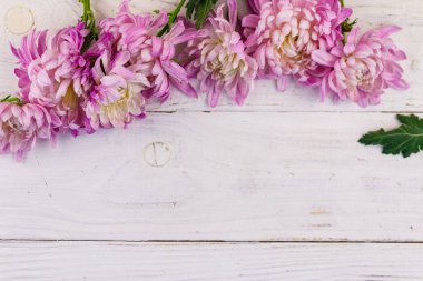 Beyaz ahşap arka planda güzel kasımpatılar. Üst görünüm, alanı kopyala
