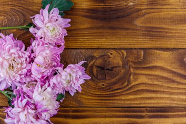 Ahşap arka planda güzel krizantemler. Üst görünüm, kopya sp