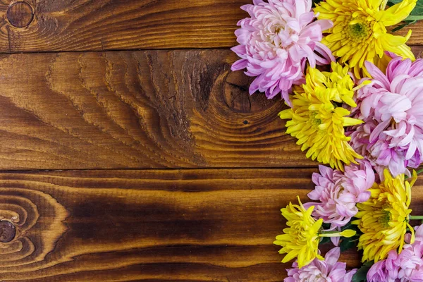 Hermosos crisantemos sobre fondo de madera. Vista superior, espacio de copia — Foto de Stock