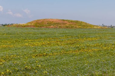 Ukrayna'nın güneyinde bir alanda Scythian mezar höyük