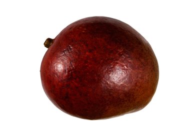 Beyaz arka planda izole edilmiş tüm mango meyvesi