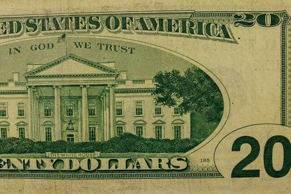 Macro shot van twintig dollar Bill — Stockfoto