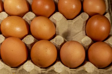 Boş alan ile karton yumurta kutusunda Çiğ tavuk yumurtası