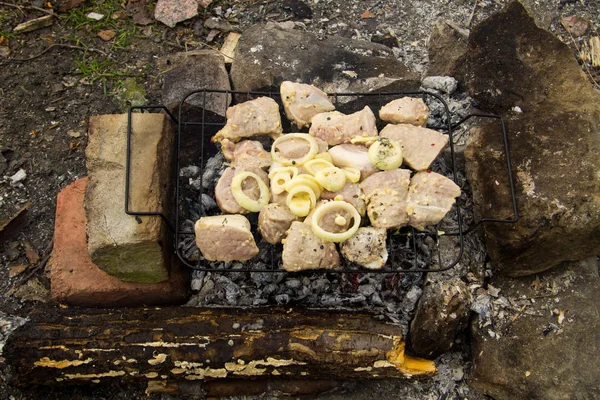 Gekruid rauw varkensvlees op grill outdoor. Voorbereiding van shish kebab. Gemarineerd vlees op houtskool — Stockfoto