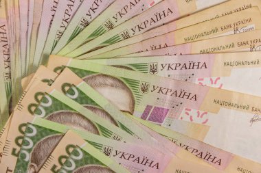 Ukrayna para birimi. Beş yüz Grivnası banknotlarının arka planı
