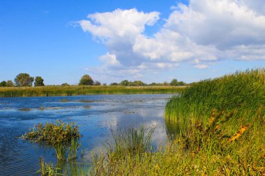 Dinyeper nehrinin manzarası