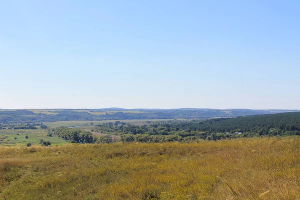 Літній пейзаж з луком, деревами і пагорбами — стокове фото