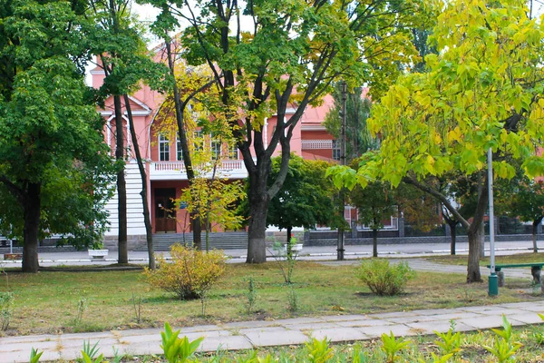 Vackra träd i stadsparken — Stockfoto