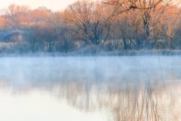 Sis huzurlu gölde. Sis sabah gölet üzerinde