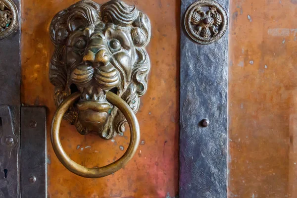 Old door with door knocker in the shape of a lion's head — Stock Photo, Image