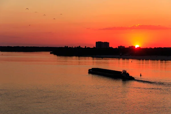 Schlepper schieben einen schweren langen Lastkahn auf dem Dnjepr bei Sonnenuntergang — Stockfoto