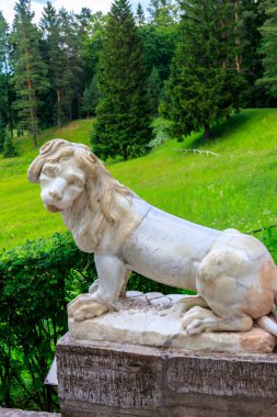Pavlovsk Palace Park'ta büyük taş merdivenlerde nörde mermer aslan heykeli