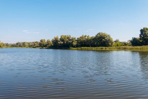 Літній пейзаж з красивою річкою, зеленими деревами і блакитним небом — стокове фото