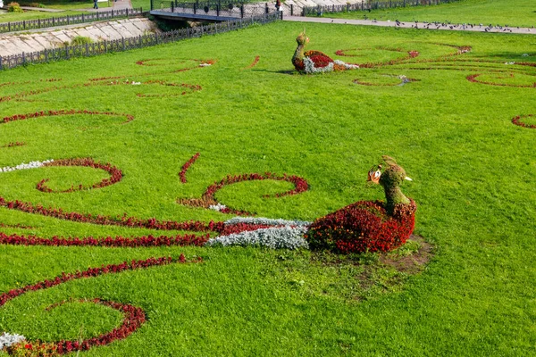 Floral figures of birds on a lawn in a garden