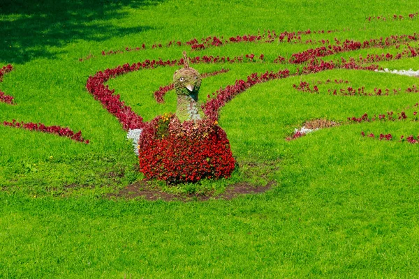 Floral figure of bird on a lawn in a garden