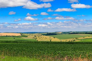 Yeşil tarlaları, tepeleri ve mavi gökyüzü olan yaz manzarası