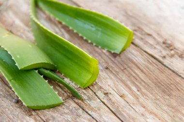 Aloe vera bitki rustik ahşap zemin üzerine yeşil yaprakları