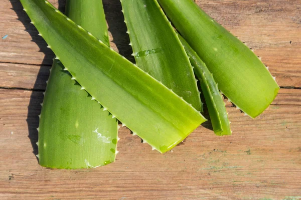 Green leaves of aloe vera plant on rustic wooden background — Stock Photo, Image