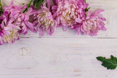 Beyaz ahşap arka planda güzel kasımpatılar. Üst görünüm, alanı kopyala