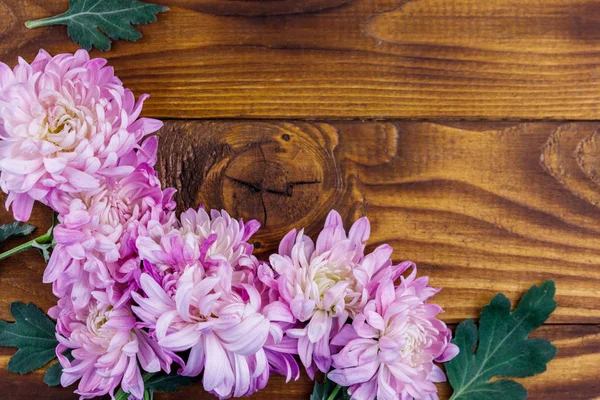 Hermosos crisantemos sobre fondo de madera. Vista superior, espacio de copia — Foto de Stock