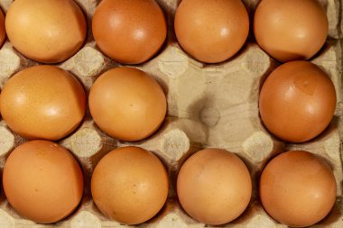 Boş alan ile karton yumurta kutusunda Çiğ tavuk yumurtası