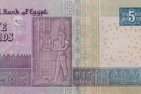 Macro shot van vijf Egyptische ponden wetsvoorstel — Stockfoto