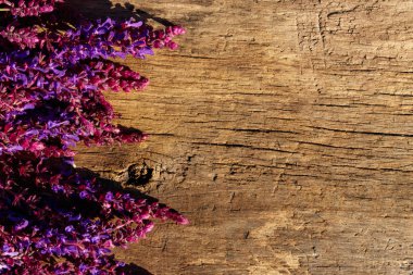 Mor ada çayı çiçekler rustik ahşap zemin üzerinde. Üstten görünüm, kopya alanı
