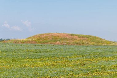 Ukrayna'nın güneyinde bir alanda Scythian mezar höyük