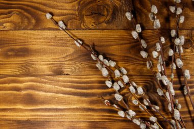 Kukum twigs ahşap arka plan üzerinde. Üstten görünüm, kopya alanı