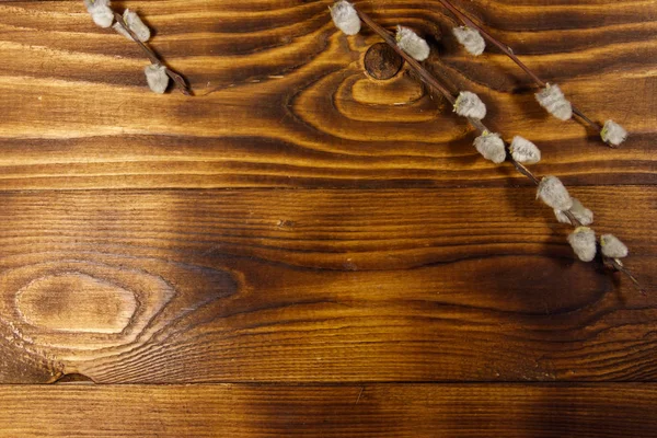 Kukum twigs ahşap arka plan üzerinde. Üstten görünüm, kopya alanı